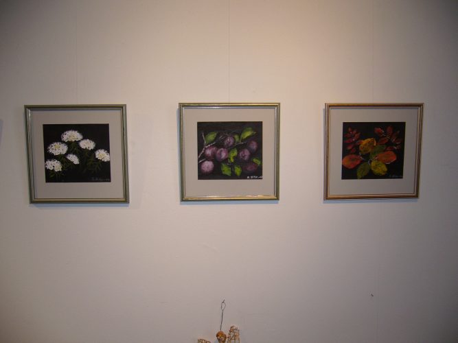 P1000531