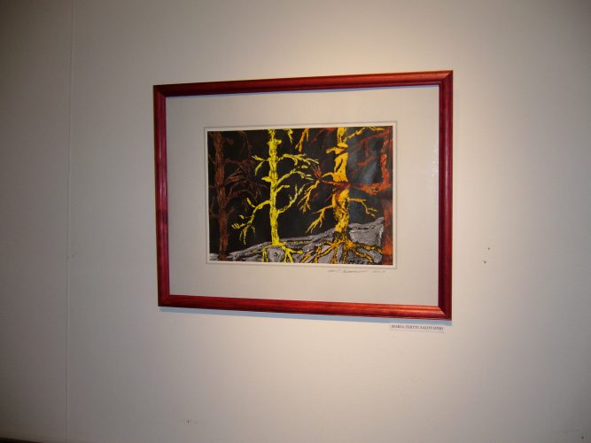 P1000534